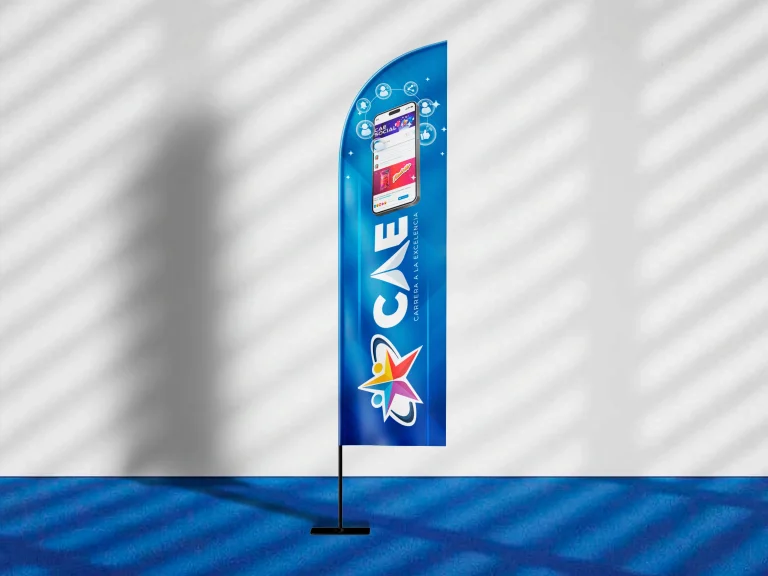 CAE Pepsico Mockups